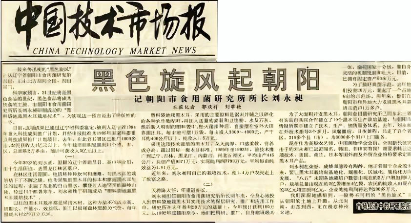 技术报内容.jpg