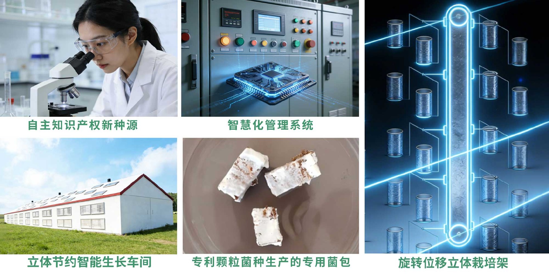 主题技术x.jpg