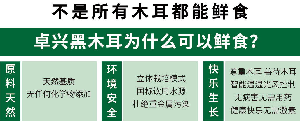 鲜食.jpg