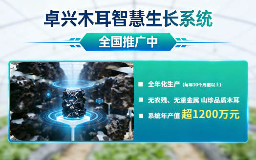凯时AG木耳智慧成长系统全国推广中