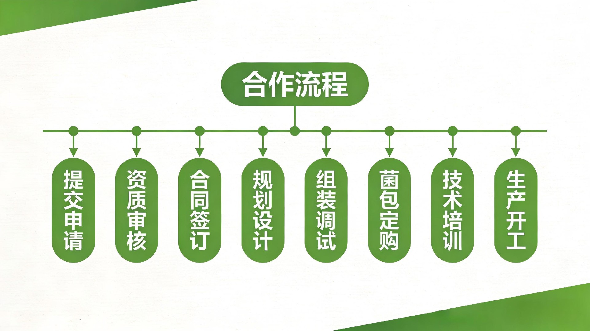 合作流程.jpg